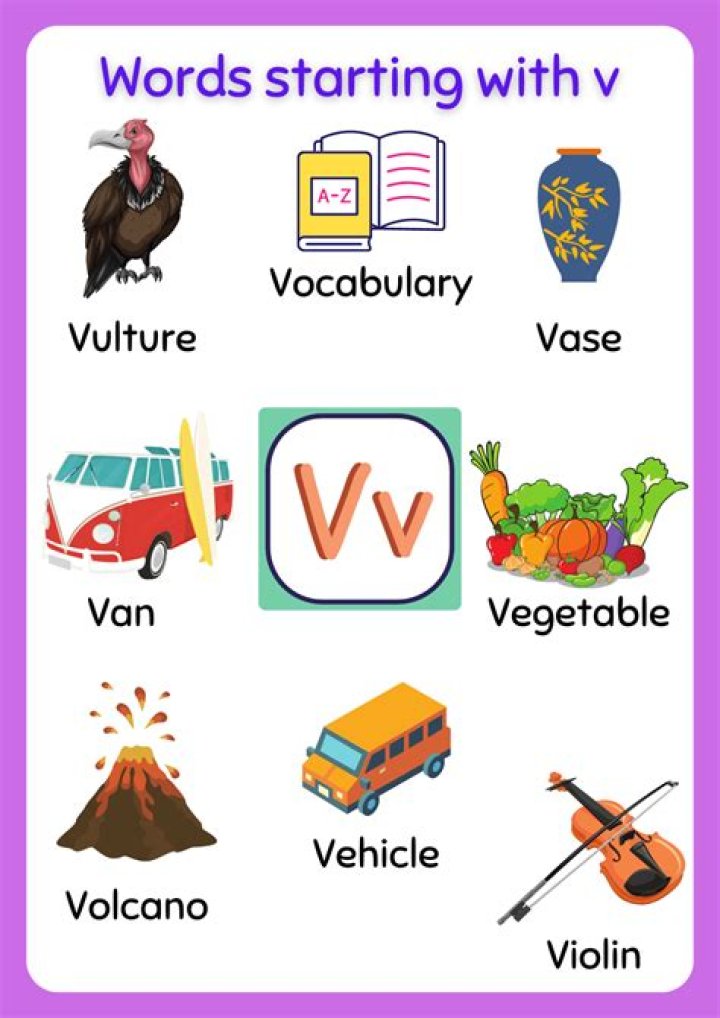 ‘Wordle’ hints: 5-letter words beginning with ‘V’