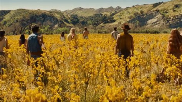 A star-studded thriller that died a horrible death at the box office wins new converts to its streaming cult