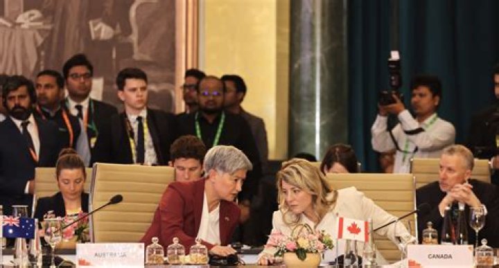 Abigail Cordova Parents: Meet The Associate Professor Of Global Affairs