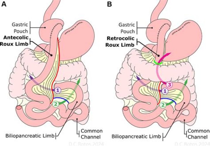 All 10 of Wolfgang Petersen’s Hollywood movies, ranked