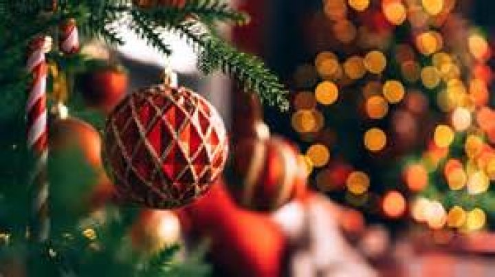 Are Christmas Trees Pagan in Origin?