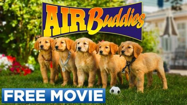Are the Air Buddies puppies still alive? – Celebrity