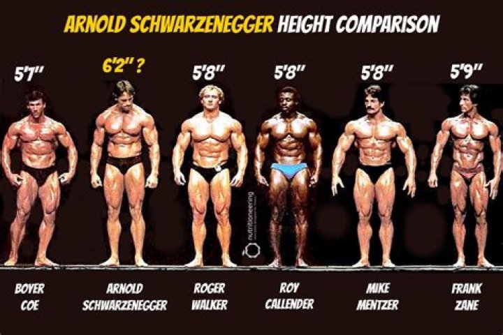 How tall is Arnold Schwarzenegger?