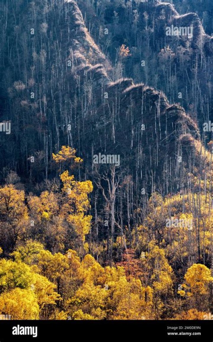 Autumn (Hughes) Kesler – Raleigh, NC