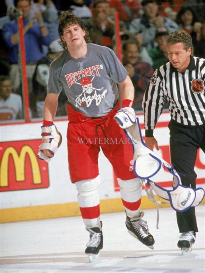 Bob Probert Biography - Facts, Childhood, Family Life & Achievements