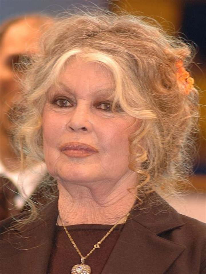 Brigitte Bardot Biography - Facts, Childhood, Family Life & Achievements