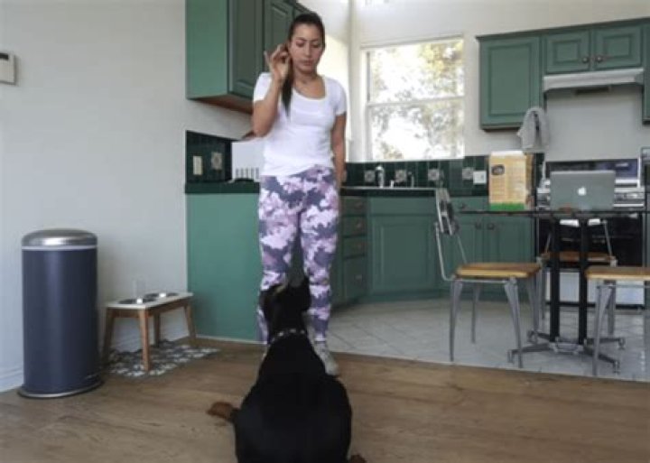 Brooke Houts Won’t Face Charges Over Dog Video