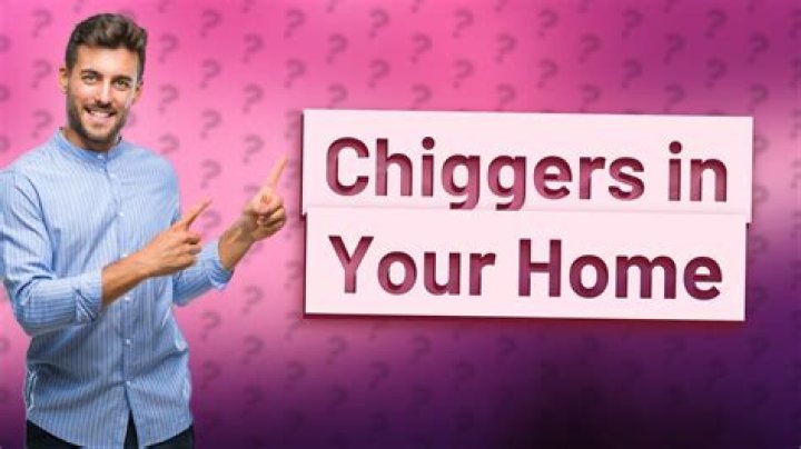 Can chiggers live inside your house