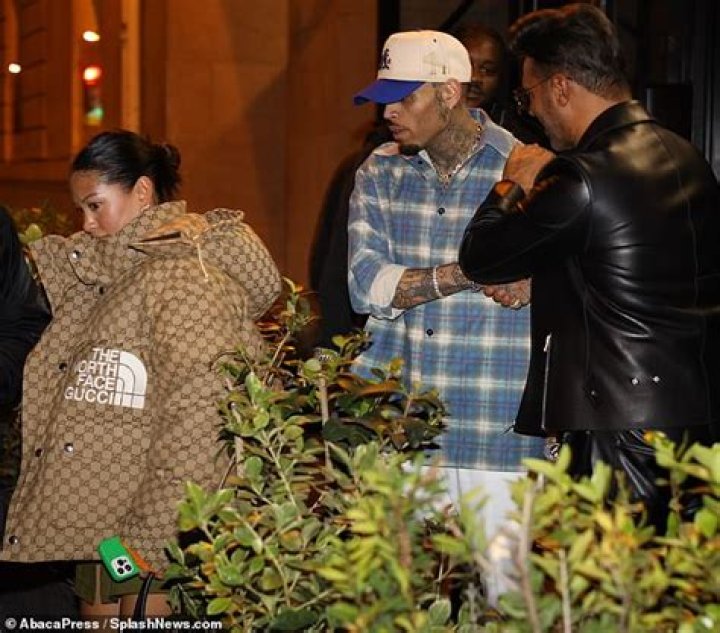 Chris Brown’s Pregnant Girlfriend, Ammika Harris, Responds To Claims He Bruised Her Arms After This Picture Surfaced