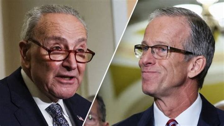 Chuck Schumer Scandal And Affair: Is He Dating Allison R. Greenfield?