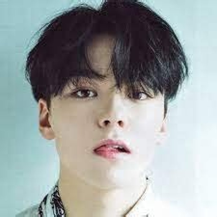Chwe Vernon Hansol (Singer) Wiki, Bio, Age, Height, Weight, Net Worth, Family, Facts