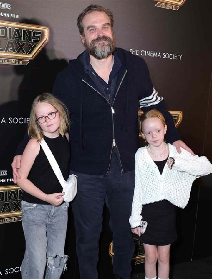 David Harbour Compares His Relationship With New Wife Lily Allen’s Daughters To A Sitcom!