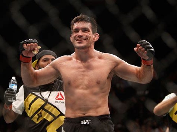 Demian Maia Biography - Facts, Childhood, Family Life & Achievements