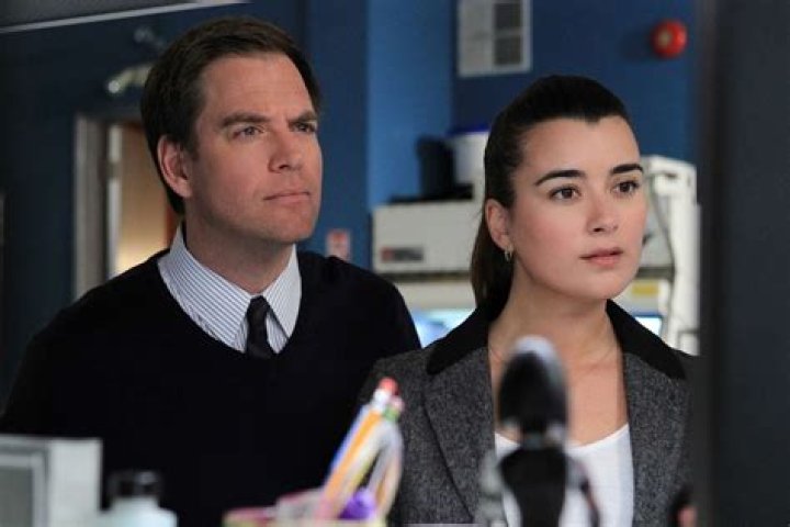 Did Michael Weatherly And Cote De Pablo Date? – Celebrity