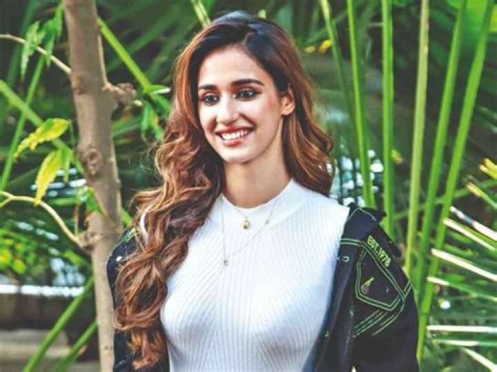 Disha Patani Height, Weight, Net Worth, Age, Birthday, Wikipedia, Who, Nationality, Biography