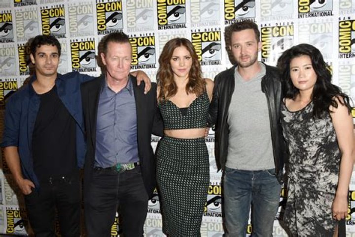 Elyes Gabel Net Worth