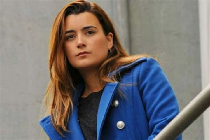 Everything NCIS Fans Need To Know About Ziva’s Possible Return