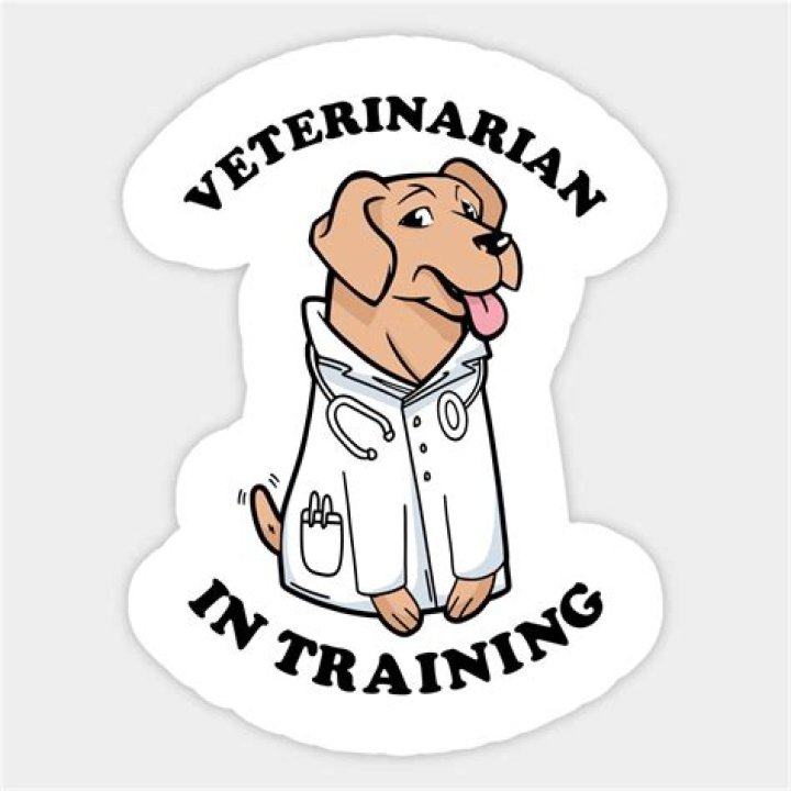 Explore Marc Myers Obituary, Veterinarain