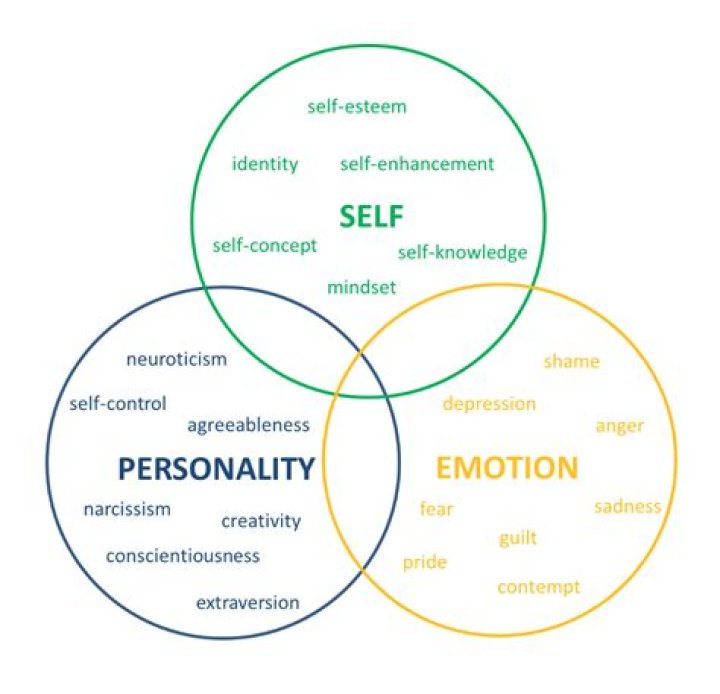 Exploring Identity, Emotion, And Provocation