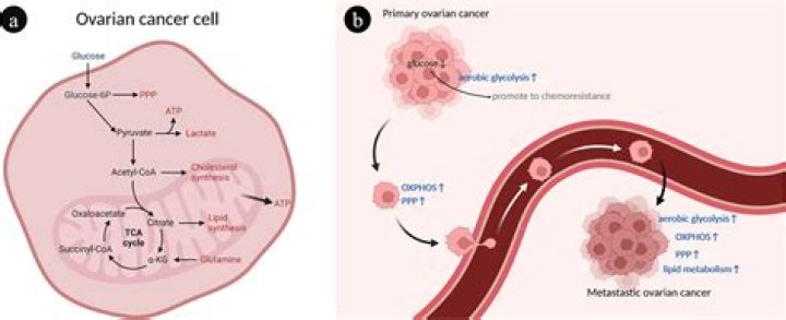 Former NHL Reginald Savage Cancer Linked To Death: Obituary