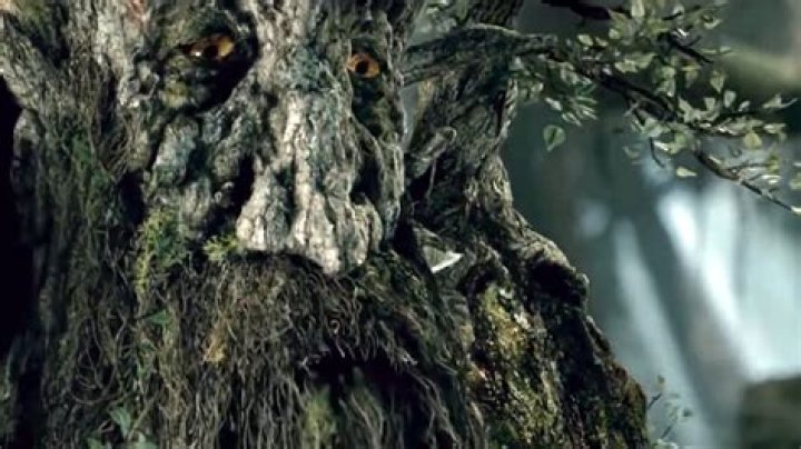 ‘God bless the United Forest of Fangorn’: ‘Lord of the Rings’ meme reignites the age-old allegory debate