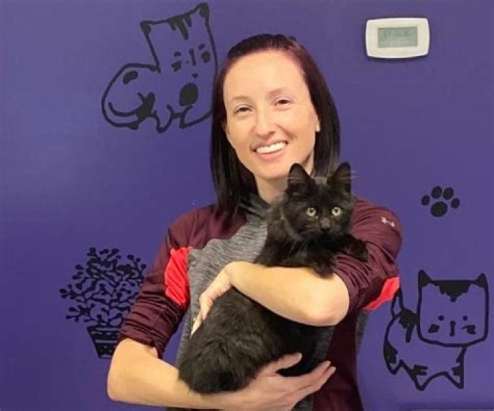 GoFundMe; Malissa Birchall Obituary, the founder, and owner of Kitty Up Cat Rescue