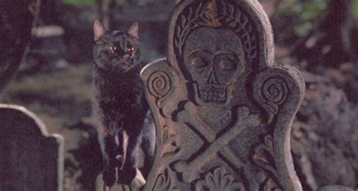 How could Thackery Binx possibly be back in ‘Hocus Pocus 2?’