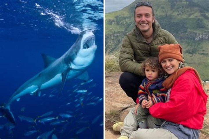 How Did Kimon Bisogno Die? Fernando Pizzas Owner Attacked By Shark