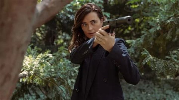 
How Much Money Does Cote De Pablo Make? Latest Income Salary
