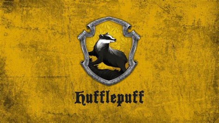 Hufflepuff traits: The best and worst Hufflepuff house traits in ‘Harry Potter’