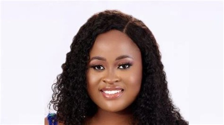 
I’m Not Insensitive, Conscience Guided Me — BBNaija’s Amaka 