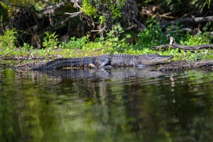 Vanessa Kirby Reveals Why This Sex Scene Was Cut From The Crown Season 2