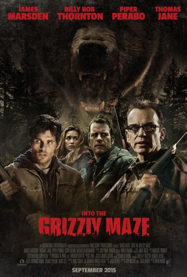 Into The Grizzly Maze Review