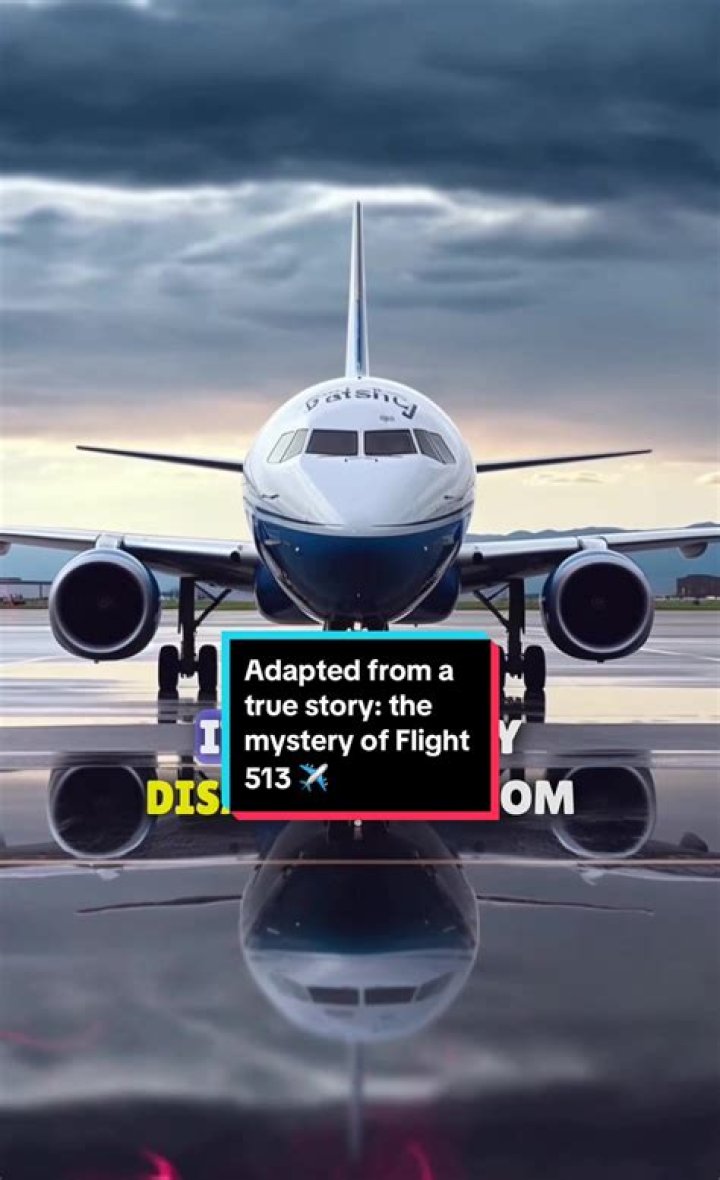 Is Flight 828 A True Story? – Celebrity