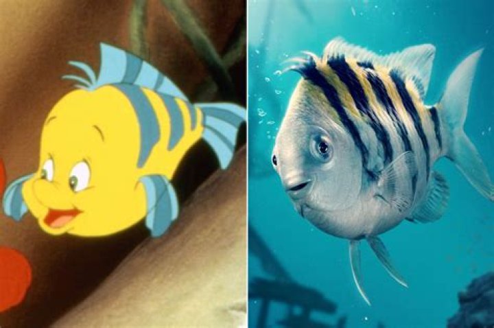 Is flounder from Little Mermaid a real fish? – Celebrity