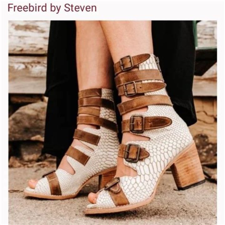 Is Freebird by Steven Tyler? – Celebrity