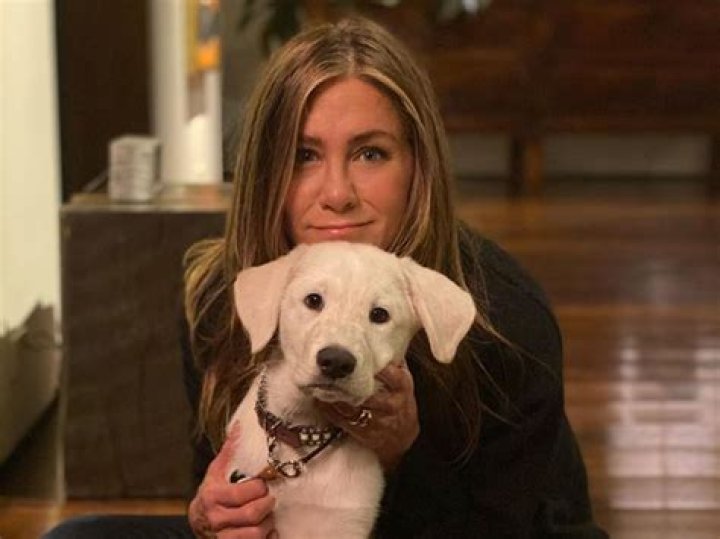 Jennifer Aniston Under Fire For Pandemic Ornament As People Want The Actress Canceled