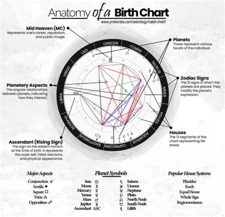 Jeremy Allen White’s zodiac sign and birth chart explained