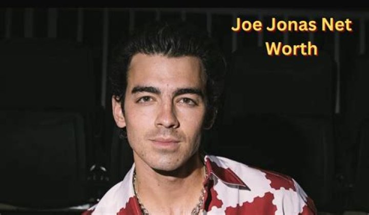 Joe Jonas Net Worth, Income, Salary, Earnings, Biography