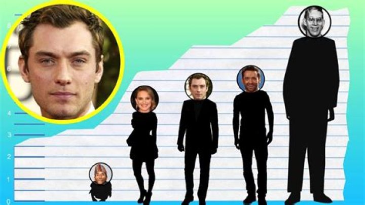 Jude Law Body Measurements Height Weight Shoe Size Vital Stats Bio