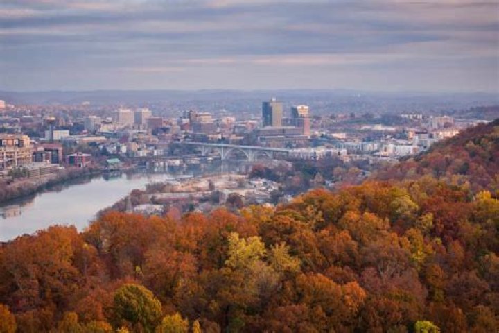 Directory of U.S. Physician Assistants (PA) in Knoxville, Tennessee