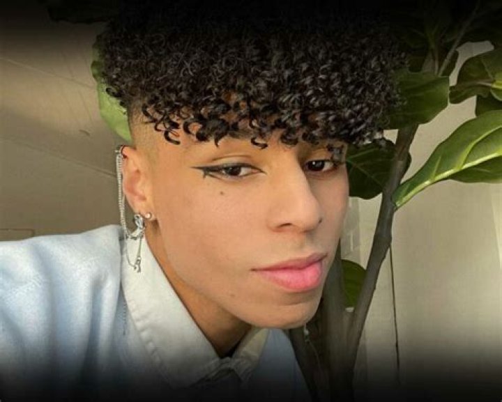 Larray Youtuber Bio, Wiki, Age, Height, Boyfriend, Salary and Net Worth