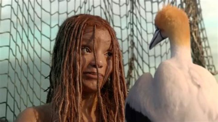 Latest Disney News: ‘The Little Mermaid’ flips critics the bird as the film’s director opens up about omitting fan-favorite characters