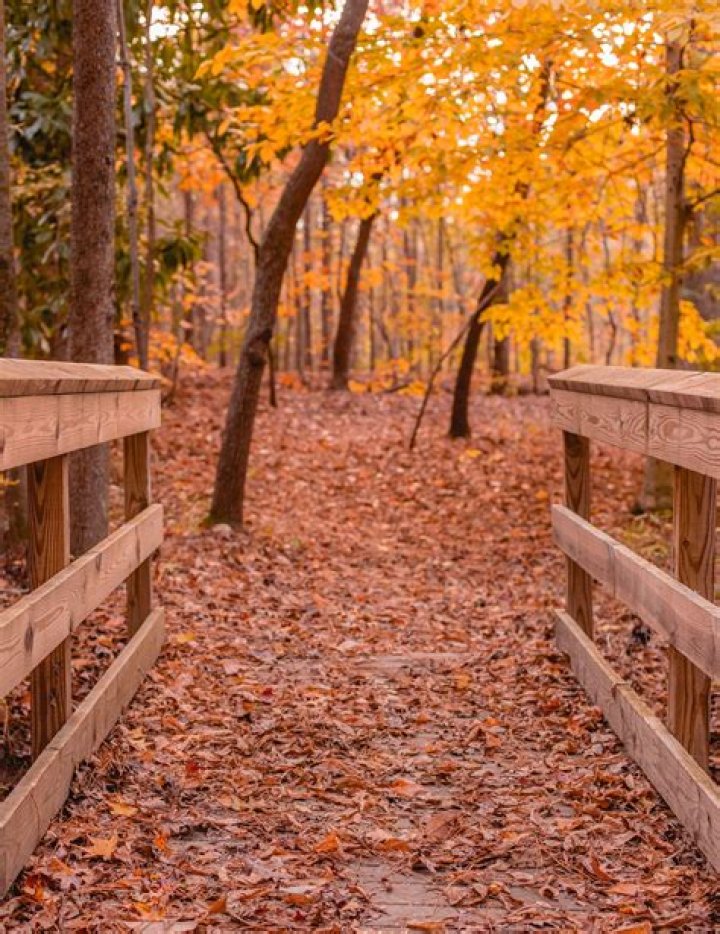 Dr. Leamor Buenaseda, MD – Raeford, NC