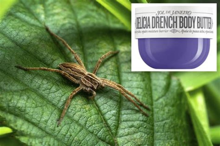 "Lotion Attracts Spiders" And Beyond