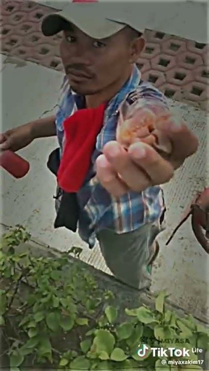 Mani (Rapper) Biography - Facts, Childhood, Family Life & Achievements