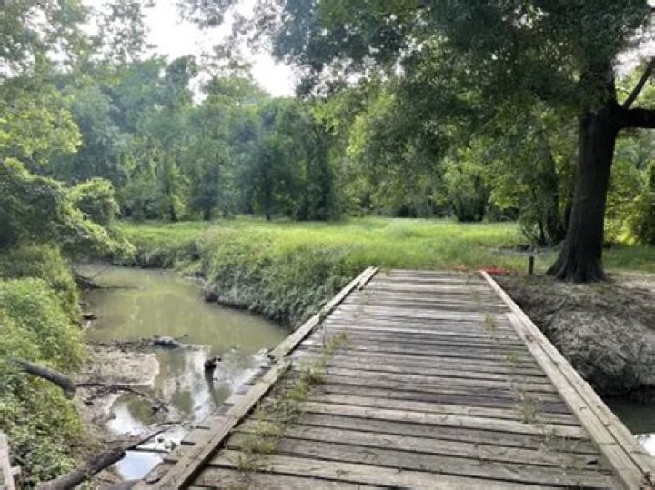 Missing Brett Detamore Update; Help Find Man Last Seen In Bear Creek Pioneers Park