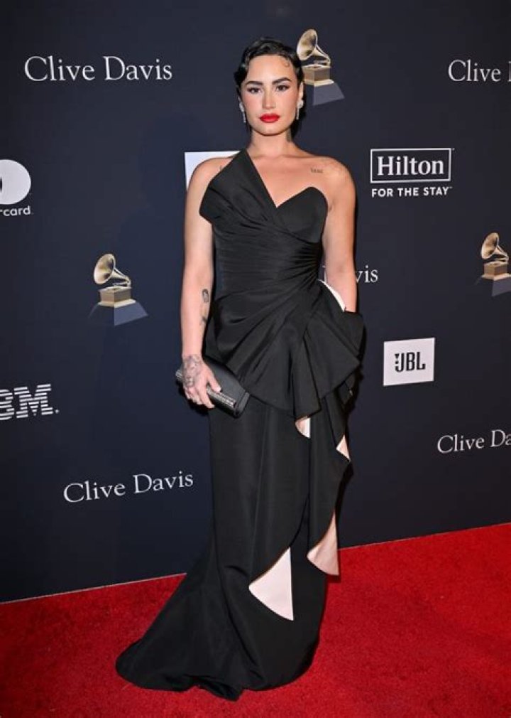 Demi Lovato in Bathing Suit Has 