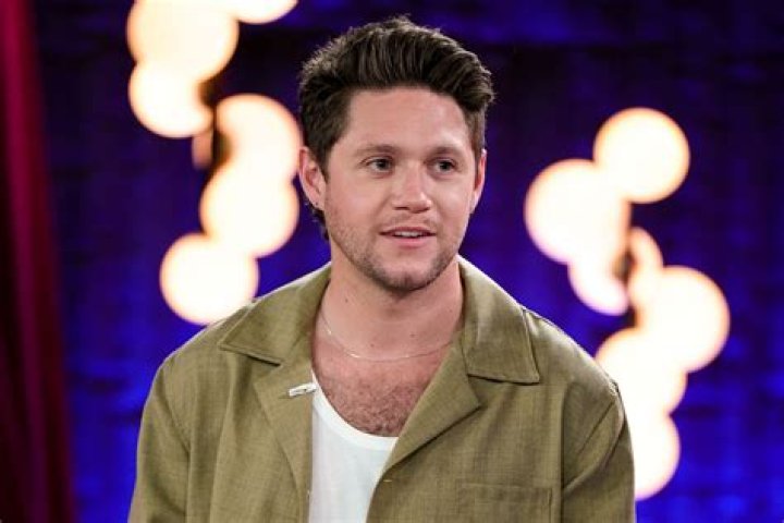 Niall Horan Makes U.S. Television Debut On Ellen