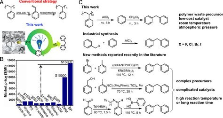Poly Styrene children: Meet Celeste Bell-Dos Santos
